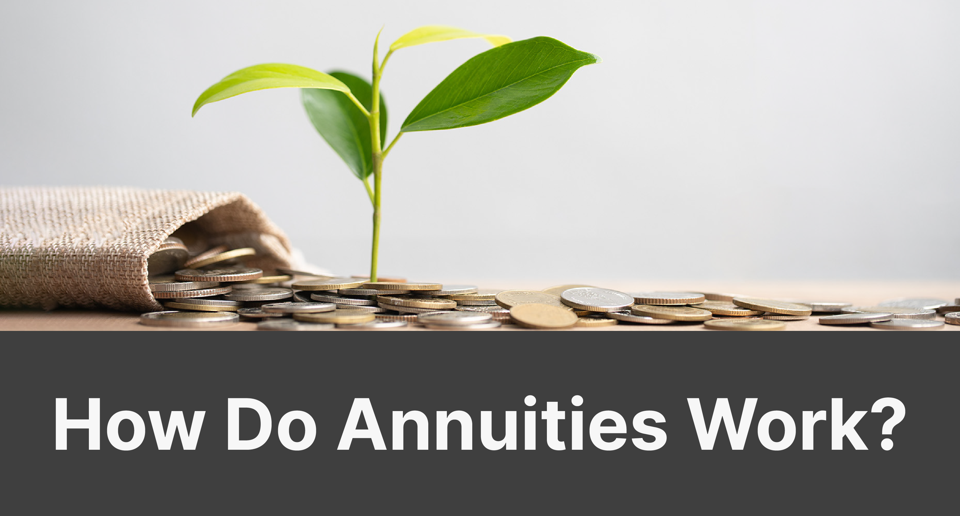 Annuities Explained Everything You Need to Know About Annuities